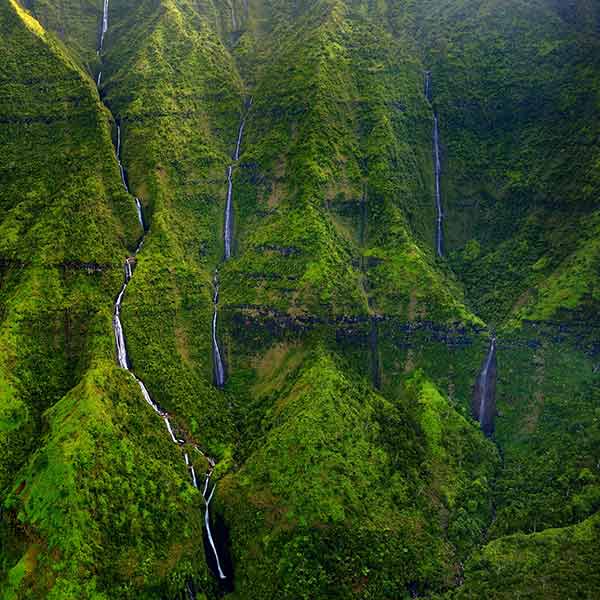 Mt. Waialeale Wall of Tears